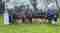 ﻿SP Sponsors Twickenham Rugby Football Clubs (TRFC)